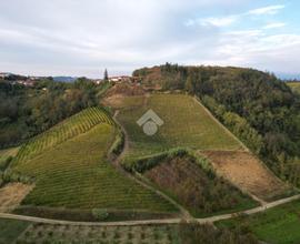 TER. AGRICOLO A MONTALDO ROERO