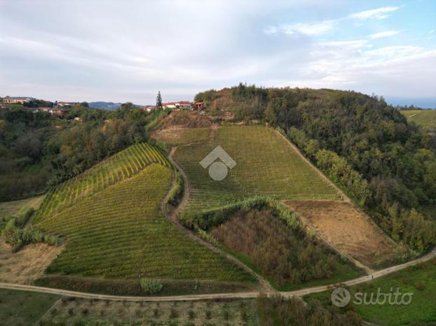 TER. AGRICOLO A MONTALDO ROERO