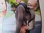 Immagine 4
