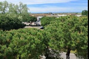 Camere in appartamento Riccione