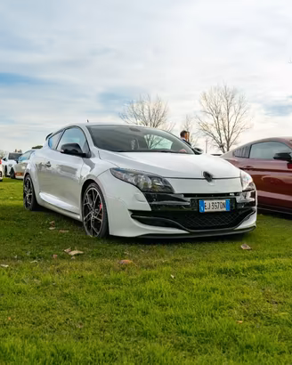 Renault megane rs cup