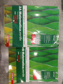 libro matematica.verde