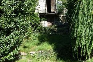 Rustico/Casale/Corte Montecrestese [40165452VRG]