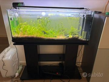 Acquario completo