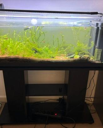 Acquario completo