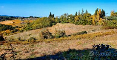Terreno seminativo, boschivo e pascolo con fonte
