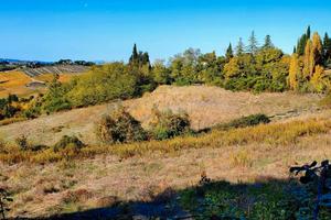 Terreno seminativo, boschivo e pascolo con fonte