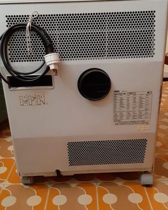 Climatizzatore Pinguino della De Longhi.