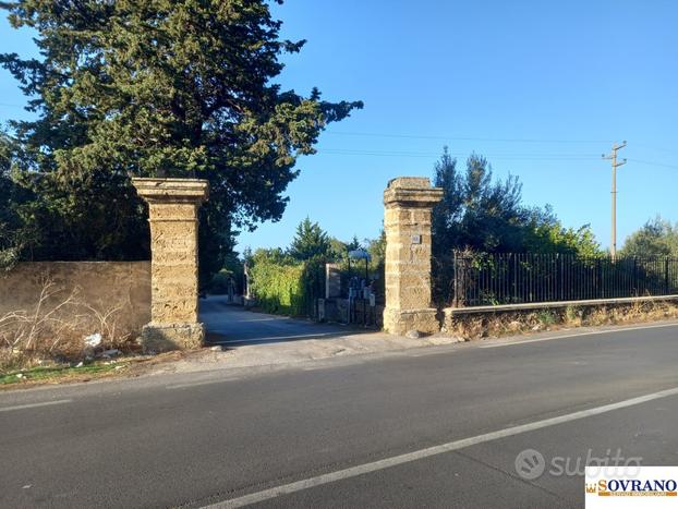 CARINI/BIVIO FORESTA: TERRENO AGRICOLO MQ 3600