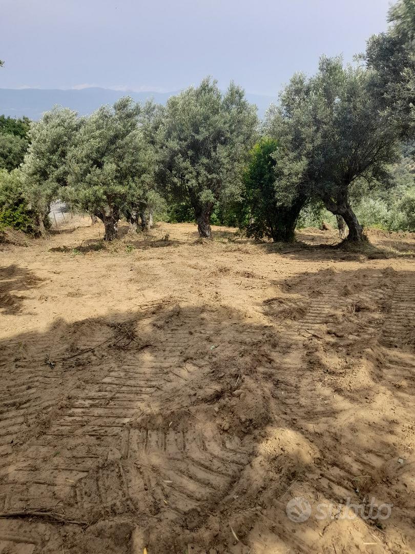 Terreno agricolo con due casolari - Vista 3