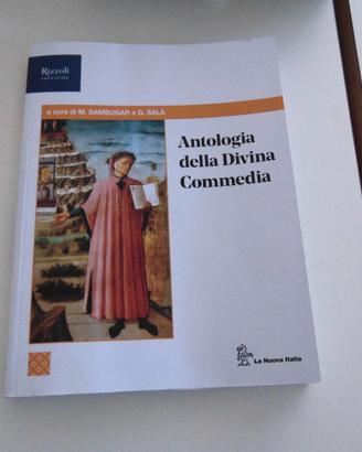 Antologia della Divina Commedia.