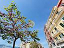 multilocale-a-castellammare-di-stabia