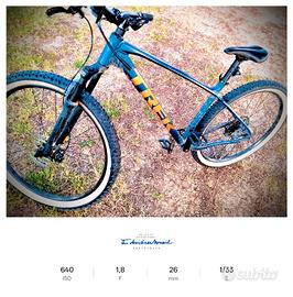 TREK 29