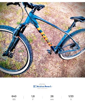 TREK 29