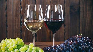 Lotto TOP WINES - VINI TOP (tot. 19 bottiglie)