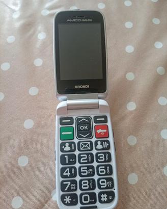 Cellulare semplice