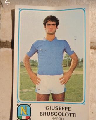 figurine Panini 