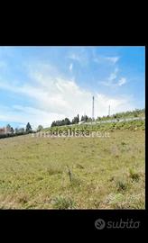 Terreno  contrada difesa