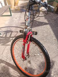 Mountainbike 