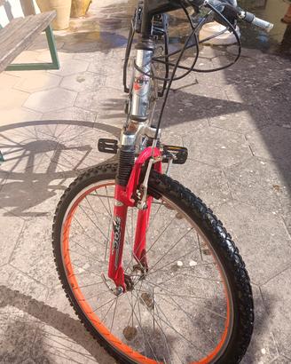 Mountainbike 
