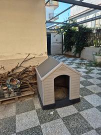 Cuccia per cane