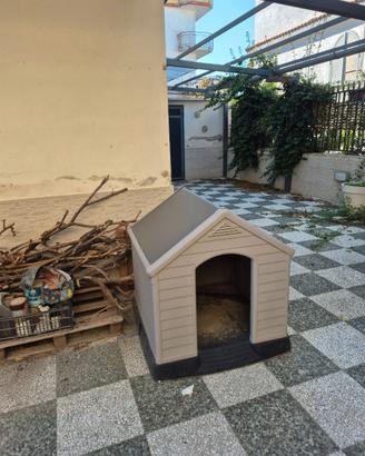 Cuccia per cane