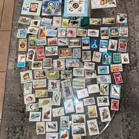 Collezione francobolli