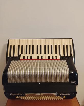 fisarmonica 