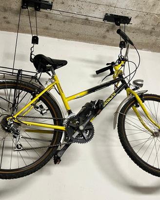 Bicicletta Bianchi Rhagodex