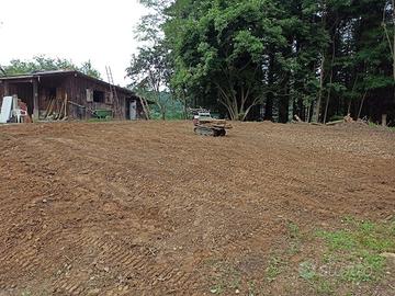 Adunata Alpini Biella 2025