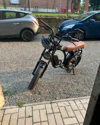Ebike zt legacy
