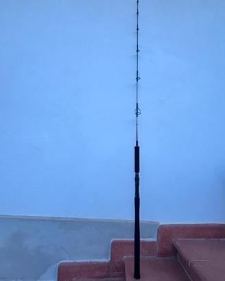 Canna vertical jigging