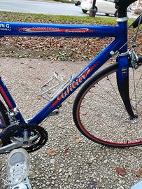 Wilier Triestina bdc