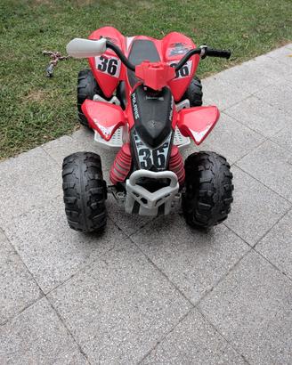 Polaris peg perego