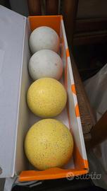 N.4 bocce da 107 mm di diametro