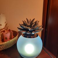piccola lampada 