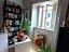 Immagine 10