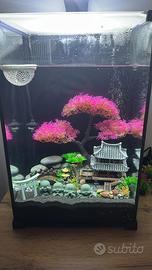 Acquario completo 30 litri