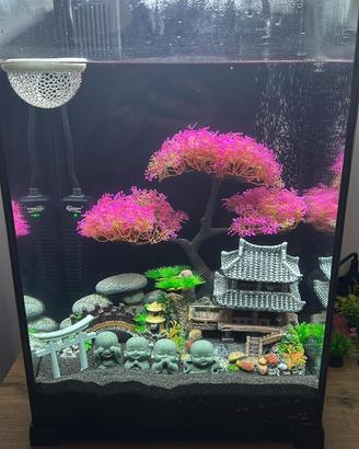 Acquario completo 30 litri