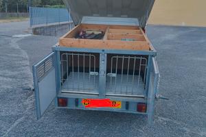 Carrello rimorchio chiuso multiuso