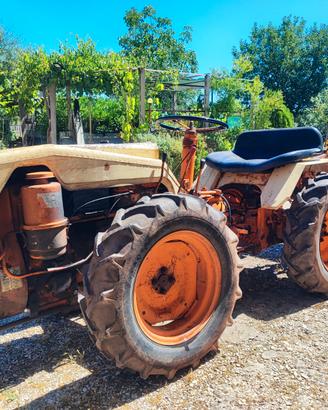 Trattore Pasquali 986