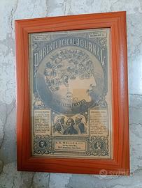 Quadro Testa Frenologica in cornice legno 