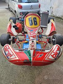 go-kart  birel 125cc kz motore tm 