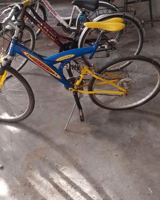 Mountain Bike Biammortizzata Bottecchia 