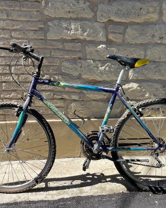 Mountainbike da rivedere