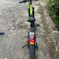 Bici elettrica