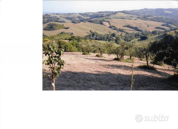 Terreno agricolo a Montefiore Conca