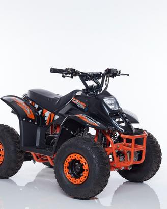 Mini Quad LINUS R6 + Kit Primo Tagliando