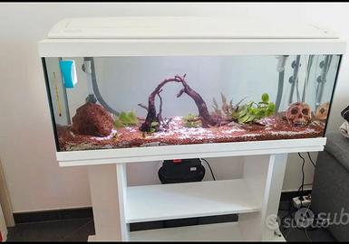 Acquario 120 l  come da foto