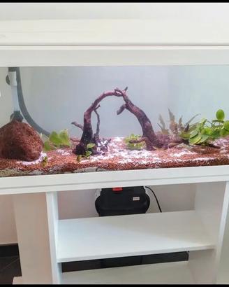 Acquario 120 l  come da foto